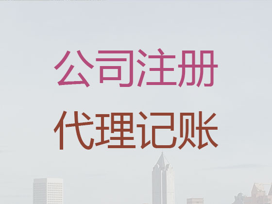 三亚公司代理记账|代办集团公司代记账/做账